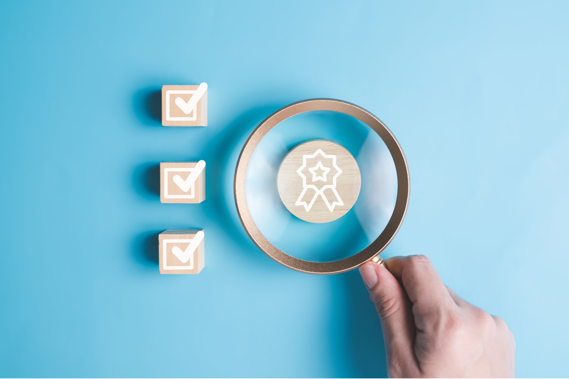 Experiencia consultora